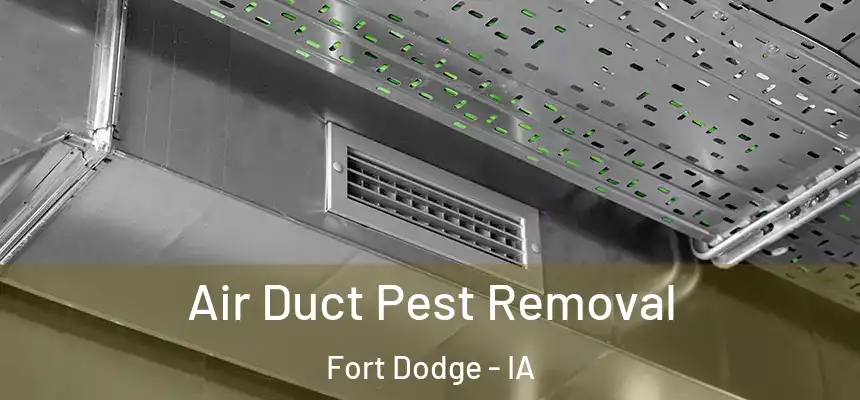  Air Duct Pest Removal Fort Dodge - IA