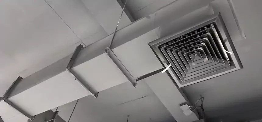 Our Pest Removal From Ducts Services in Fort Dodge, IA