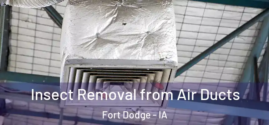  Insect Removal from Air Ducts Fort Dodge - IA