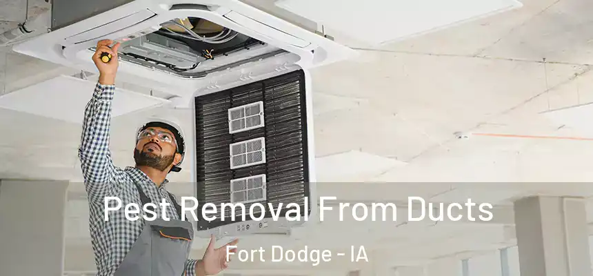  Pest Removal From Ducts Fort Dodge - IA