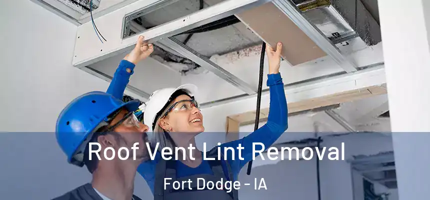  Roof Vent Lint Removal Fort Dodge - IA
