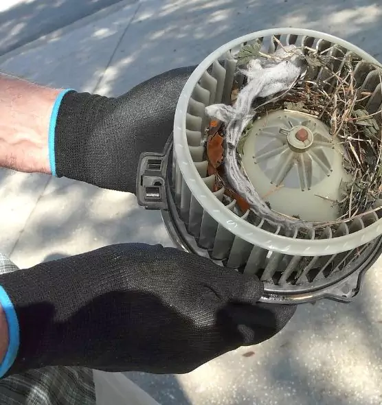 About Air Duct Mice Removal in Fort Dodge, IA