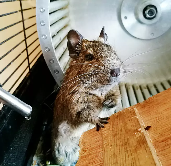 Why Homeowners & Businesses Trust Us Fort Dodge, IA?